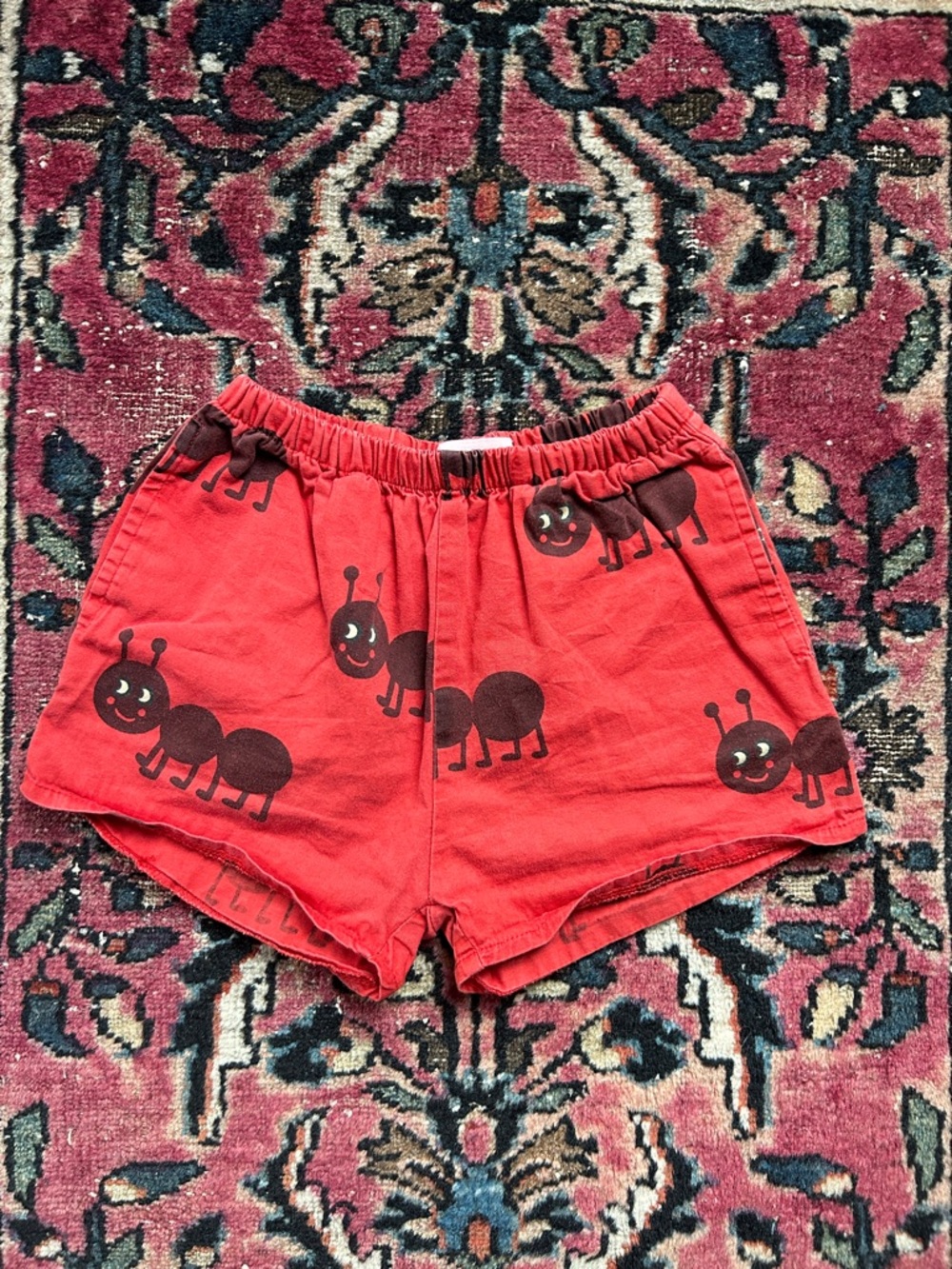 Ants Shorts 6T